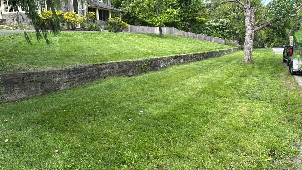 Lawn maintenance work by Green Force Property Services